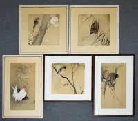 Koson, Kogyo, Seiko Kono e Okuhara, cinque xilografie a colori con uccelli, Giappone XX sec.
