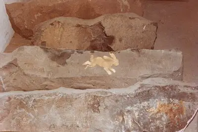 بويس، جوزيف: أرنب