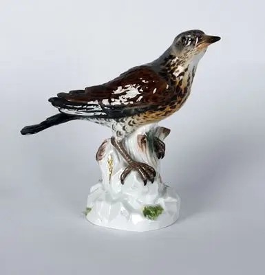 迈森：歌鸫