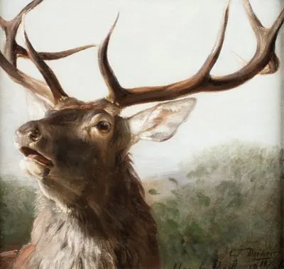 Deiker, Carl Friedrich：鹿