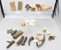 天然马鹿鹿角块、脱落鹿角、鹿角圆片、角片收藏。