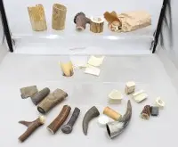 Samling af naturlige kronhjortetakstykker, kastegevir, gevirdskiver, hornstykker.