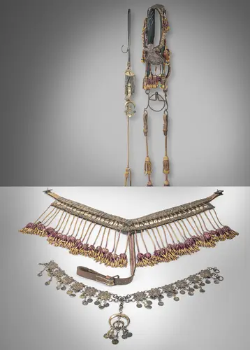 Lot de regalia pour chevaux