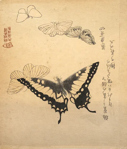 Shunman, Kubo e.a.