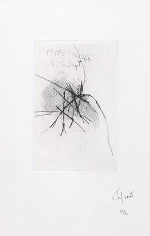 Peyré, Yves i Tal-Coat, Pierre - Ilustr. – Le lointain foyer du jour
