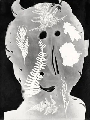 Picasso, Pablo – Diurnes. Décupages et photographies