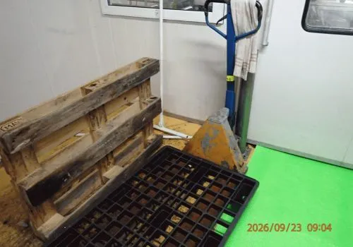 1 transpaleta amarilla