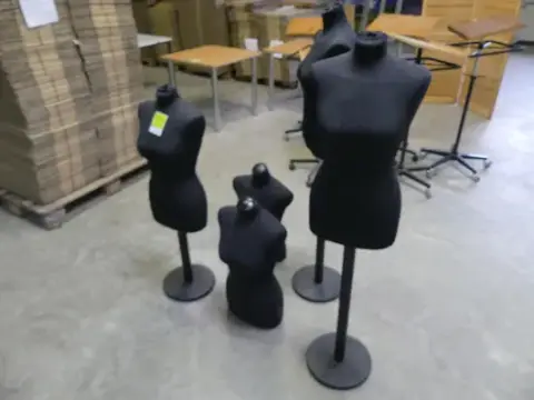 5 шт. бюстів Schneider