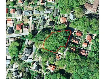 Bosque – Lietzow / isla de Rügen