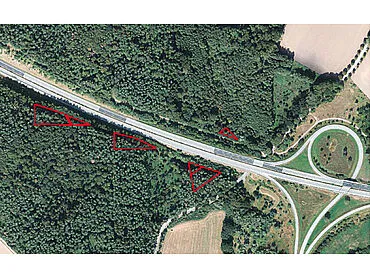 Šumske površine (10.296 m²) – Zurow