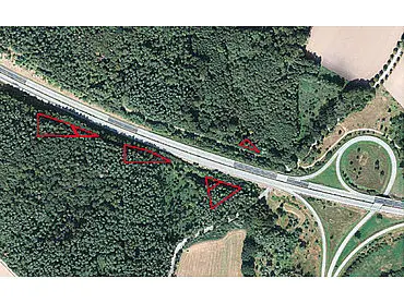 Superficies forestales (10.296 m²) – Zurow