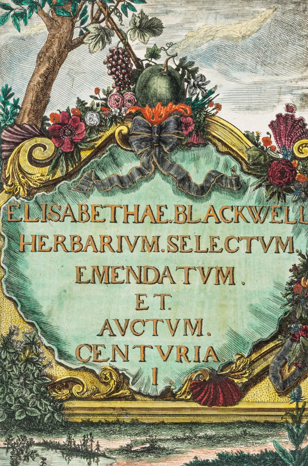 生物学 - 植物学 – Blackwell, Elisabeth. Herbarium Blackwellianum emendatum et auctum. 增补改进版布莱克威尔本草书…