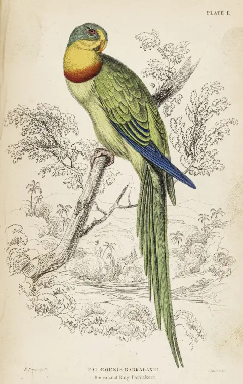 Biologi - Zoologi – Jardine, William. The Naturalist's Library. Samling på 35 bind af serien. Med stukkede portrætter, stukkede…