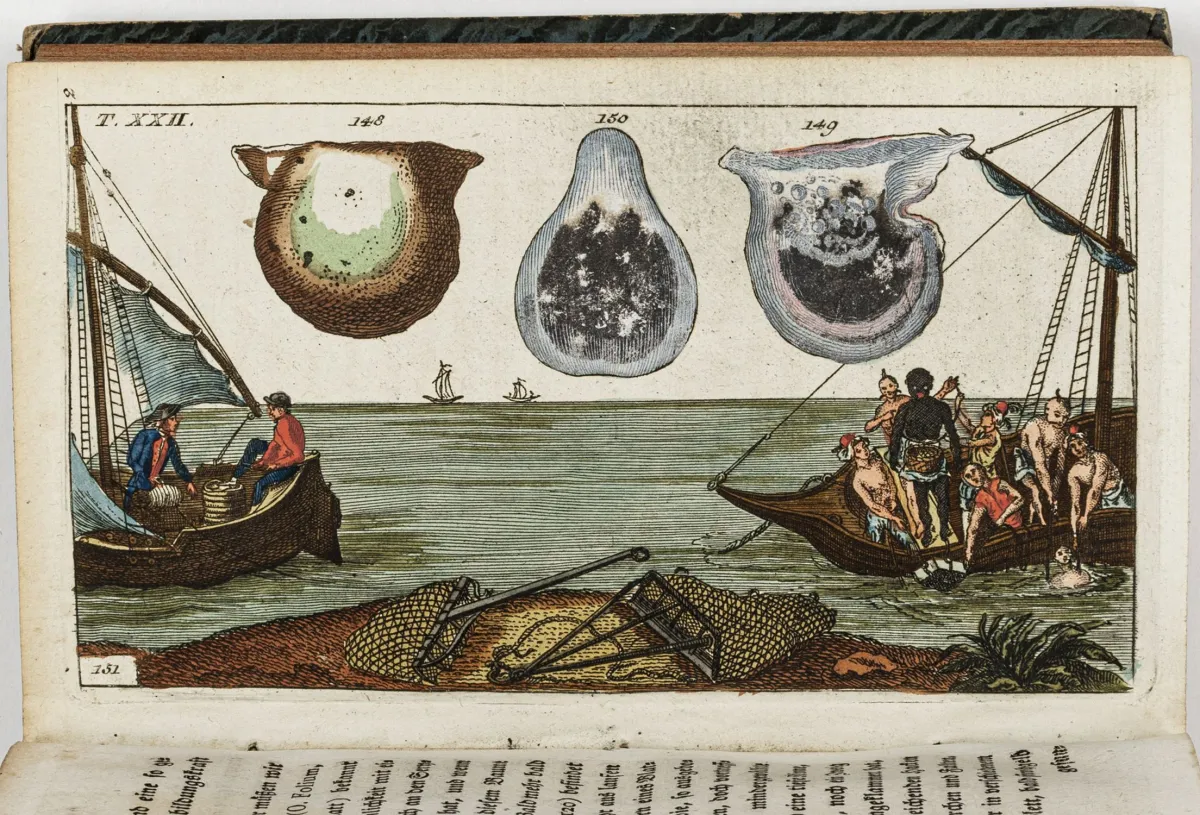 生物学 - 动物学 – Wilhelm, Gottlieb Tobias。自然史漫谈。蠕虫。2卷。含2幅铜版画扉页和106…