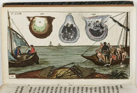 Biologi - Zoologi – Wilhelm, Gottlieb Tobias. Samtaler om naturhistorien. Orme. 2 bind. Med 2 kobberstukne titler og 106…