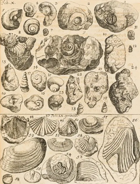 Geologi – Hermann, Leonhard David. Maslographia oder Beschreibung des schlesischen Massel ... mit seinen Schauwürdigkeiten theils…
