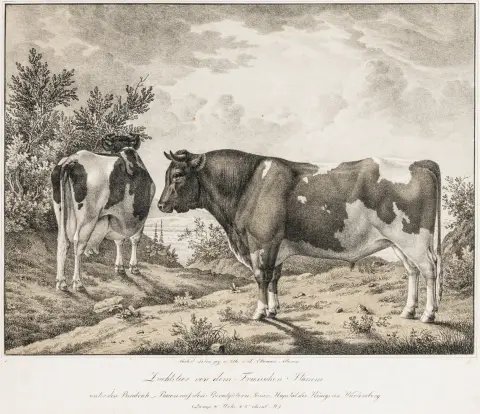 Landbrug – Weckherlin, August von. Afbildninger af kvæg- og andre husdyrracer på Hans Majestæt kongen af Württembergs private godser.…