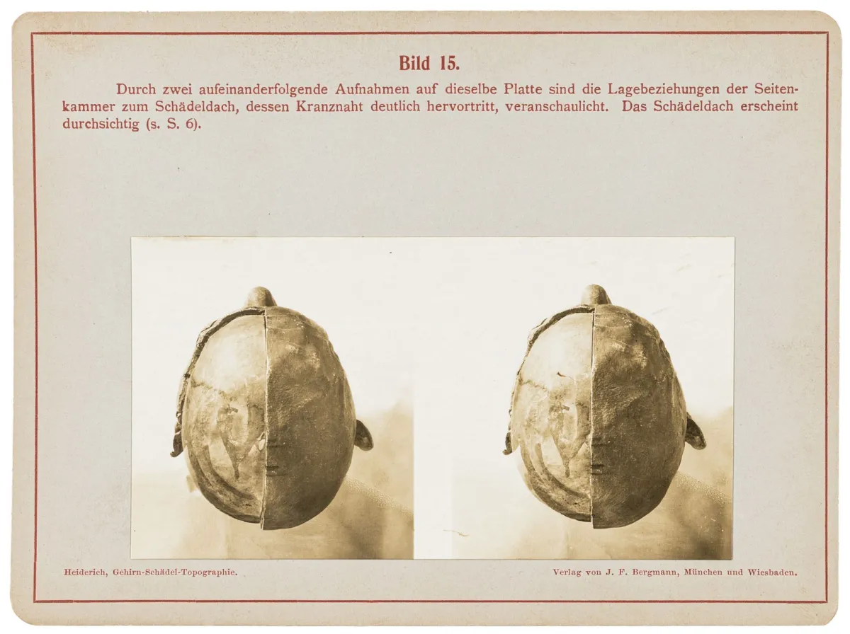 纸板。慕尼黑和威斯巴登，Bergmann，1920年。文字册16页。散装于原纸板盒中（略有磨损）。附册...