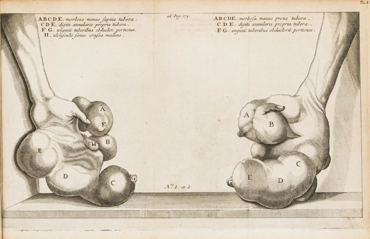 附雕刻肖像、雕刻标题花饰和17幅铜版画。莱顿，Kerckhem，1724年。19叶，557页，29叶。21 x 16厘米。…