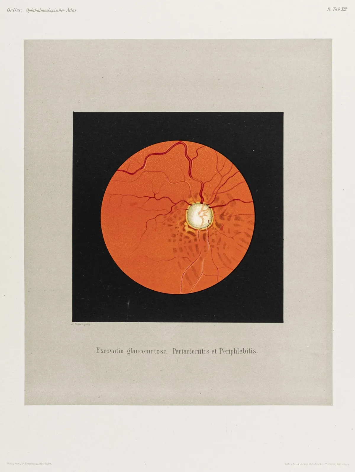 文件夹。共含75幅彩色石版画。威斯巴登，Bergmann，1896-1899年。41 x 31厘米。散页装于原装分期封套中…