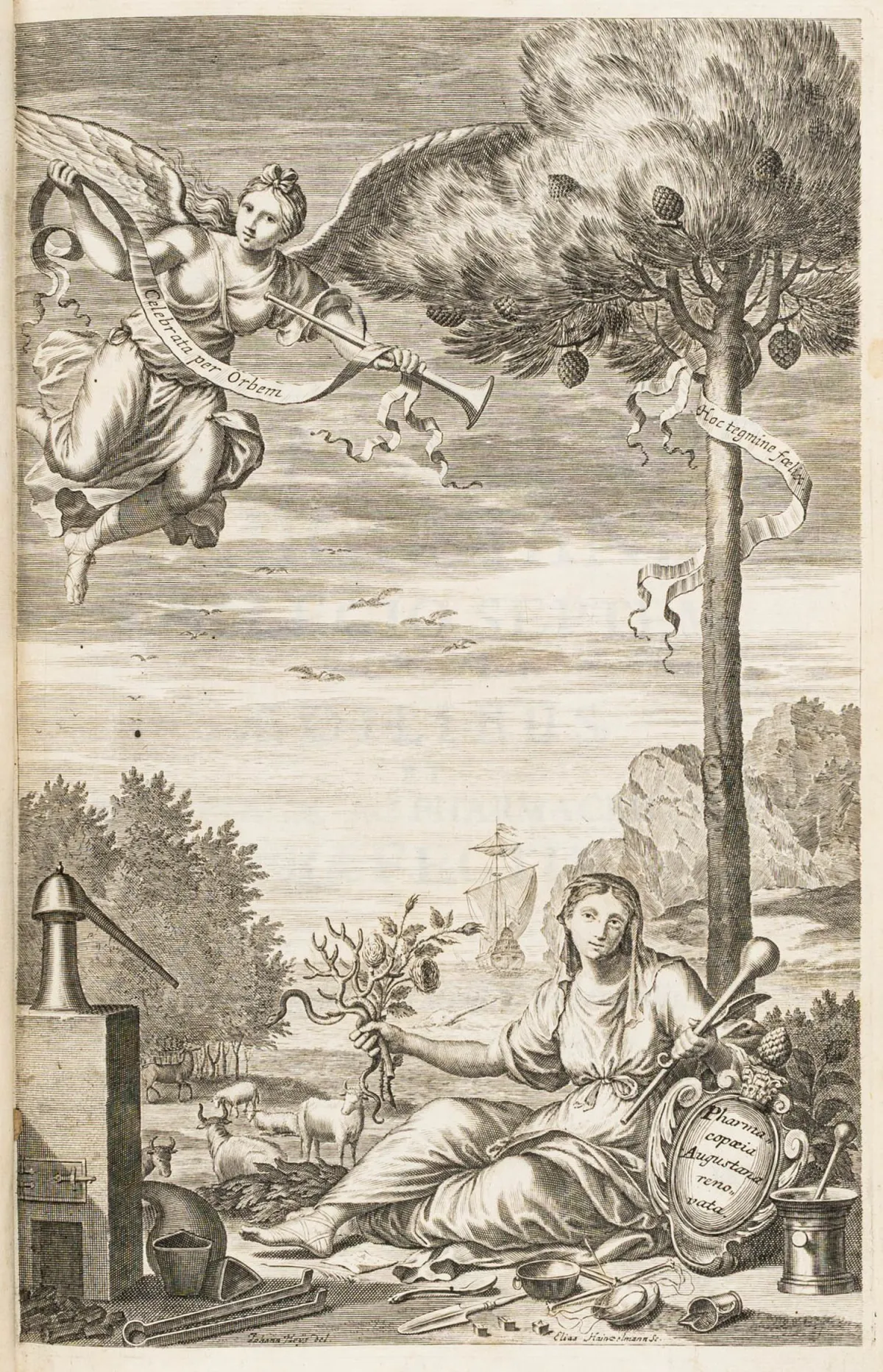医学 - 药学 – Pharmacopoeia Augustana renovata。附 E. Hainzelmann 雕刻卷首插画。奥格斯堡，J. C. Wagner，1710年。7…