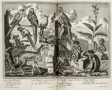 Residences Memorables... ou representation exacte des edifies et jardins de... Eugene Francois Duc de Savoye... 11 deler i 1 bind.