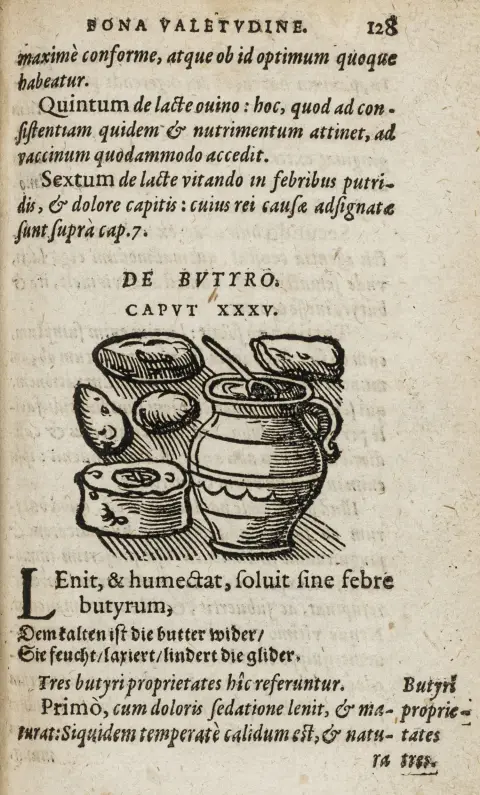 Curio, Johann – Conservandae bonae valetudinis praecepta longe saluberrima, regi Angliae quondam a doctoribus scholae Salernitanae…