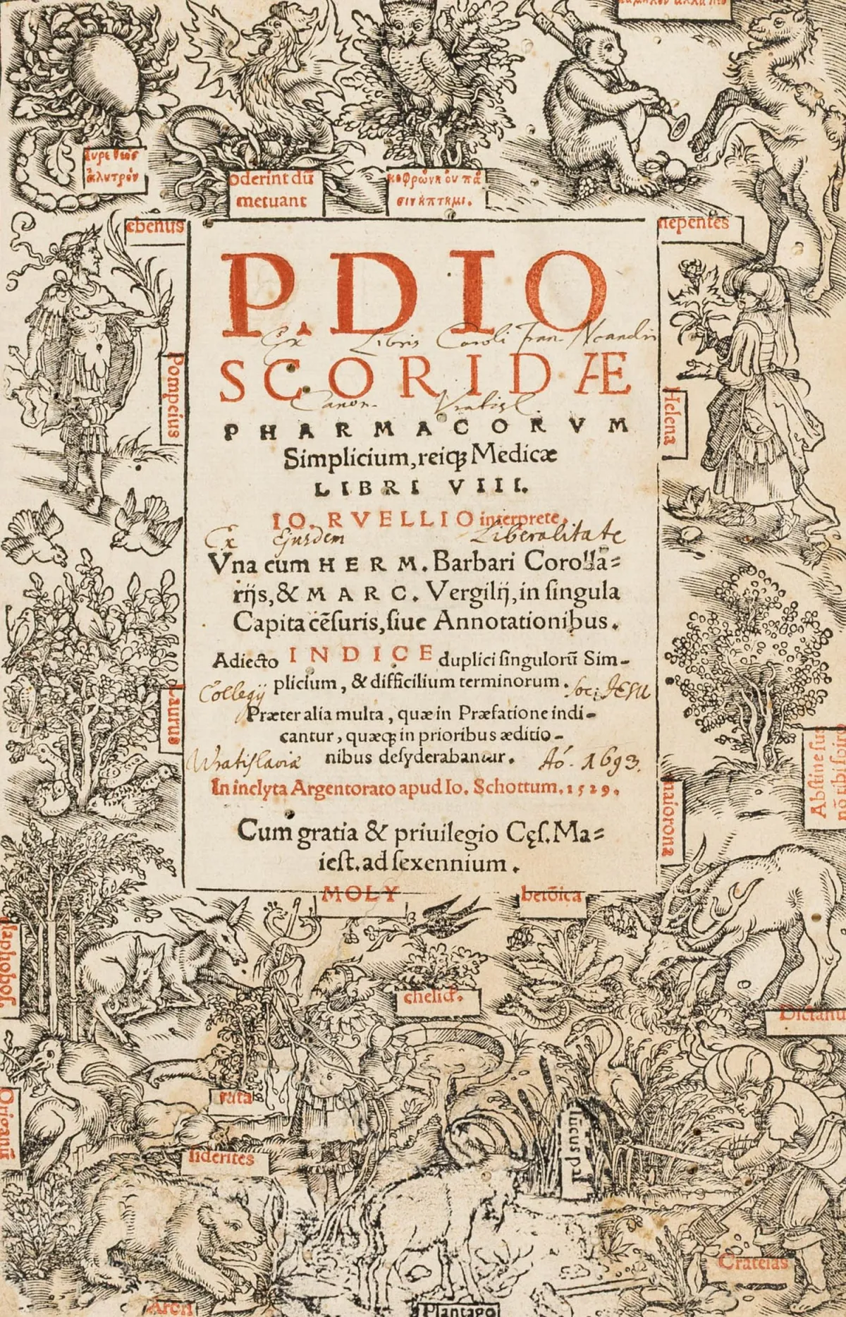 Dioscorides, Pedanius – Pharmacorum simplicium, reiq(ue) medicae libri VIII