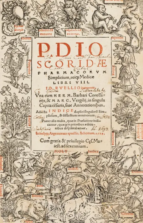 Dioscorides, Pedanius – Pharmacorum simplicium, reiq(ue) medicae libri VIII. Io. Ruellio interprete. Mit breiter Holzschnitt-Titelbordüre…