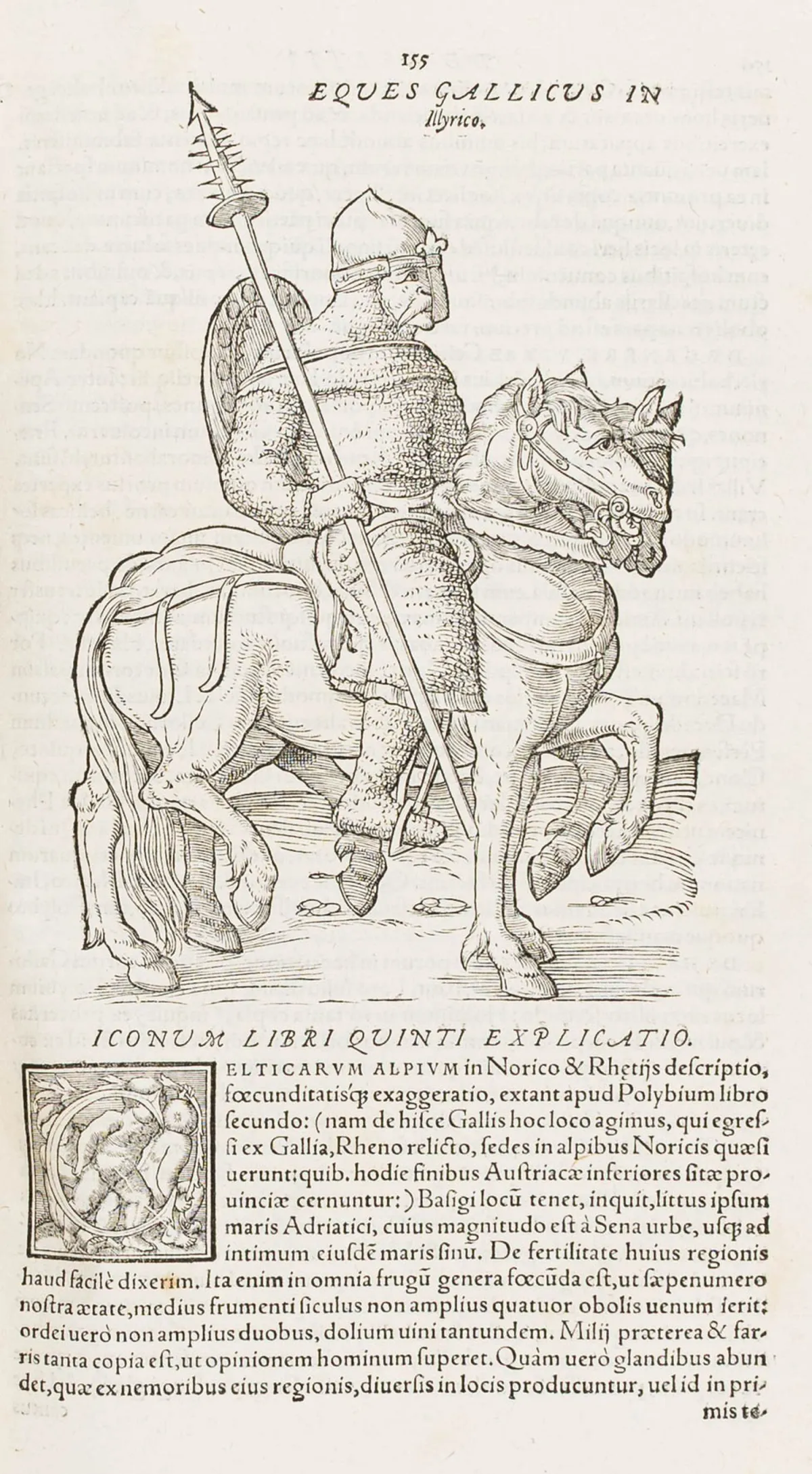 Lazius, Wolfgang – De gentium aliquot migrationibus, sedibus fixis, reliquiis, linguarumq; initiis & immutationibus ac dialectis, Libri…
