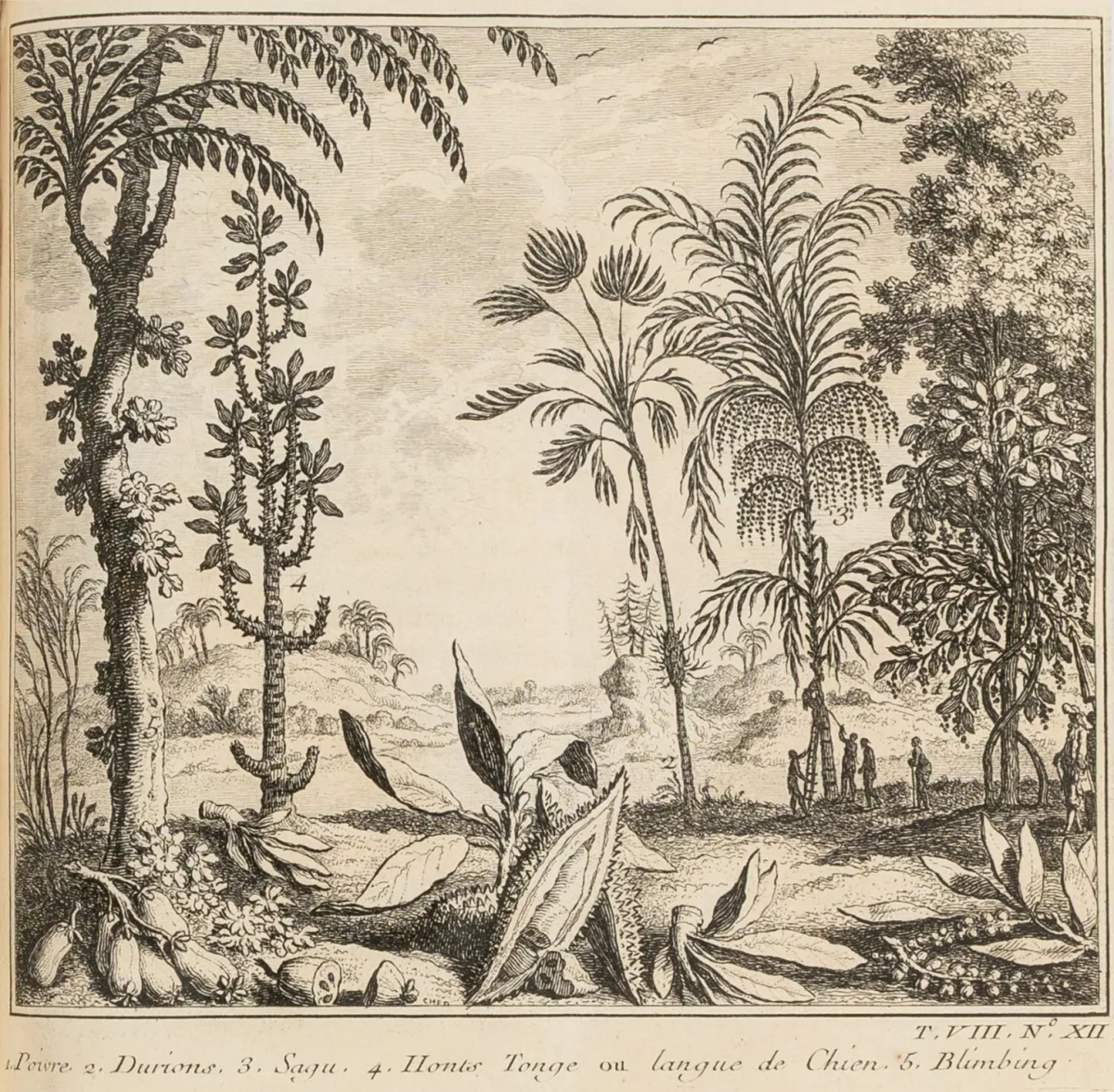 Prévost d'Exiles, Antoine-François. Histoire générale des voyages