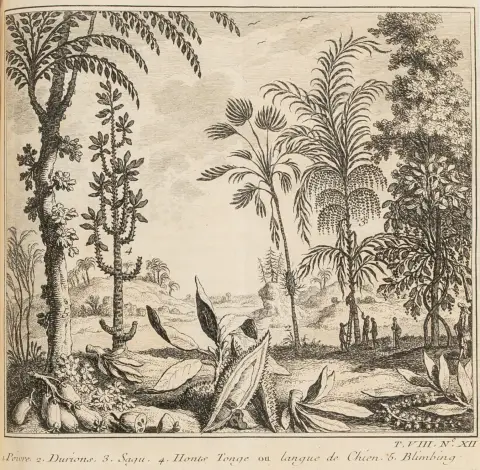 Generelt – Prévost d'Exiles, Antoine-François. Histoire generale des voyages ou nouvelle collection de toutes les relations de voyages…