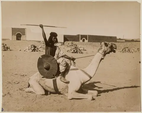 Egipt – colecție de 31 fotografii originale din Africa de Nord, în majoritate din Egipt. Vintage. Copii pe albumină. Montate. Circa 1880-1900.