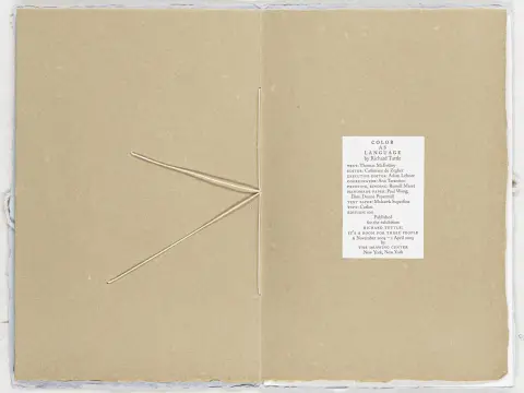 Tuttle, Richard – Color as Language. Med en tekst af Thomas McEvilley. Objektbog. New York 2004. 24 x 15,5 cm. Originalomslag. Et…