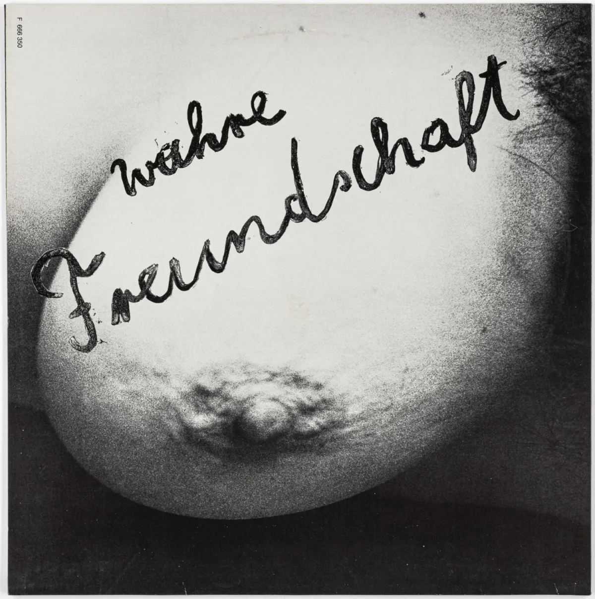 Valie Export et Monsti Wiener (c'est-à-dire : Ingrid Wiener) – Wahre Freundschaft. Disque microsillon. Berlin-Kreuzberg, 1978.