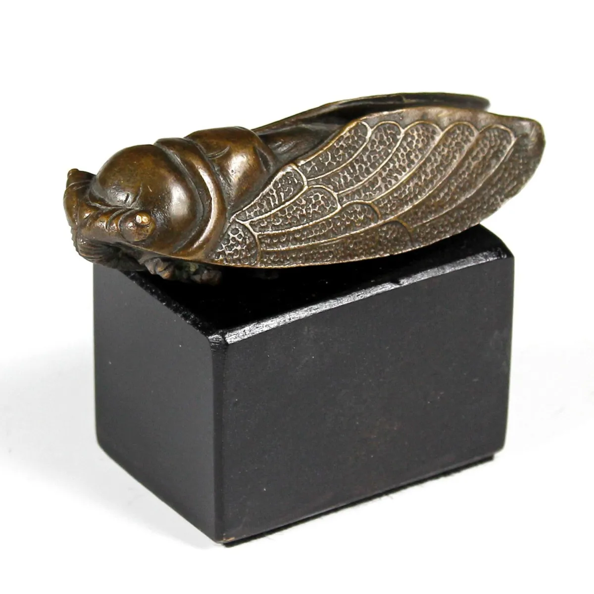 动植物 – 蝉（蝉科）模型，青铜，约1900年，松散置于乌木化木底座上