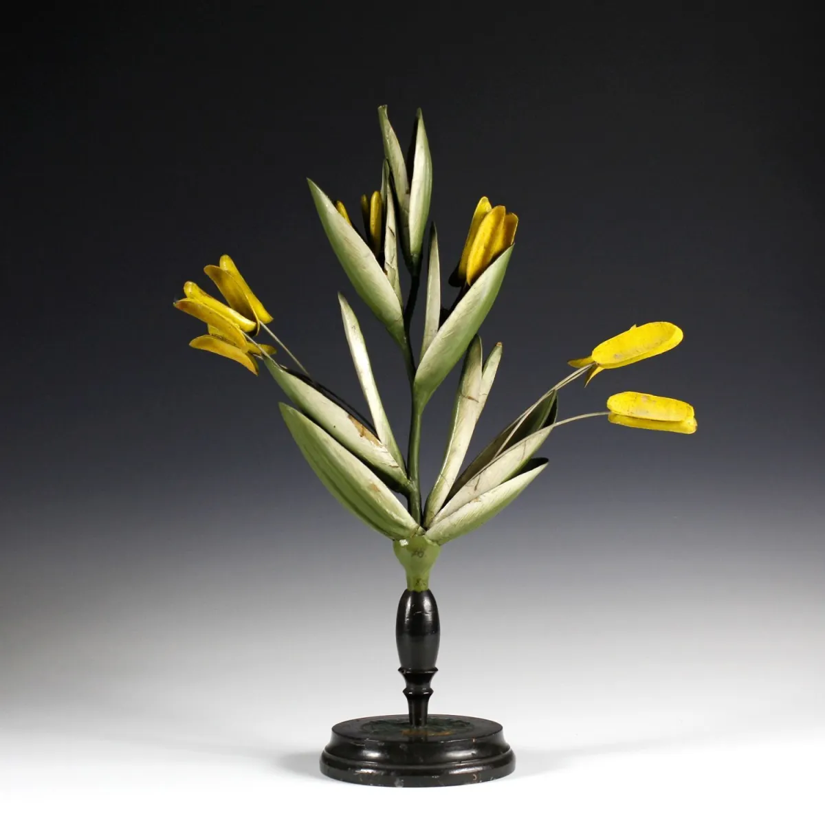 Flóra a fauna – Botanický model lipnice (Gramineae)