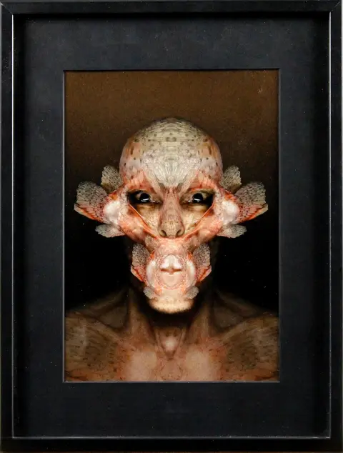 Kuriositeetit – Muotokuva "Oannes". Merging Photography, fine art -pigmenttivedos 2006, painos E.A. IV/VI, signeerattu kääntöpuolelle