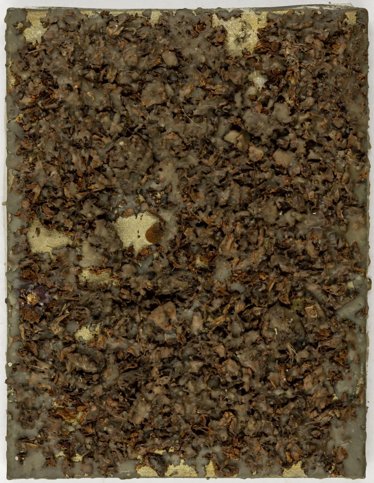 Buthe, Michael – Liebe。玫瑰花瓣，用蜡拼贴于金色底涂画布上。背面签名、注明日期和标题。