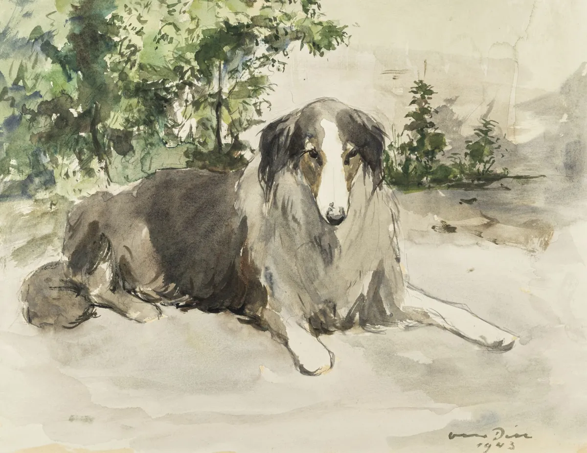 Dill, Otto – 苏格兰牧羊犬。（长毛柯利犬）。绘画纸板上的水彩。右下角签名并标注日期。1943。纸张尺寸：38 x…