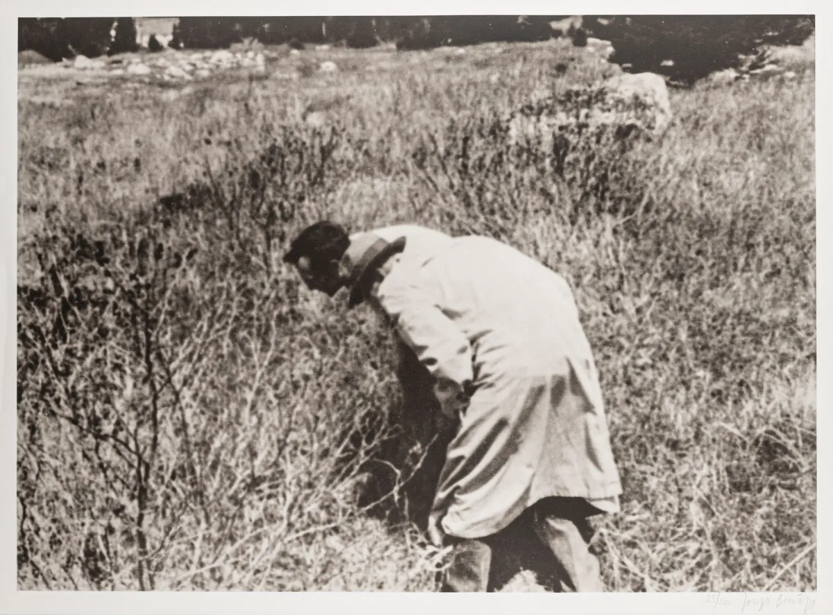 Fluxus – Beuys, Joseph. Botanischer Wahnsinn. Two-colour collotype on light cardboard. Signed and numbered bottom right. 1976.