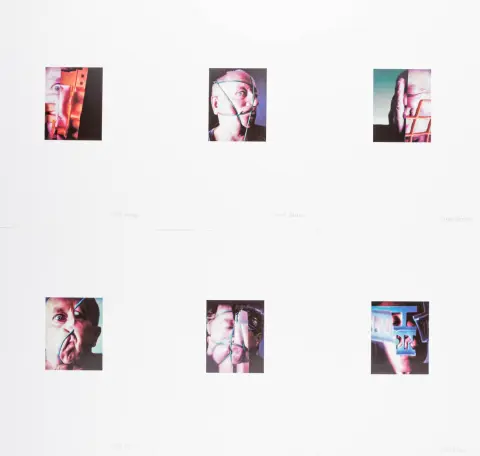 Fluxus – Blume, Anna y Bernhard. 6 hechos arraigados. 6 offset sobre cartón ligero. Cada uno firmado abajo a la derecha. 1997. Medidas del motivo:…