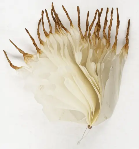 Fluxus – Saito, Takako。7件纸上作品合集。约1984年。技法、出版者和尺寸各异。I. 红酒独白。19...