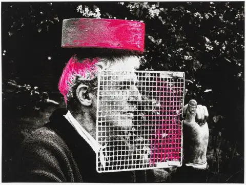Geiger, Rupprecht – Zonder titel. Neonroze acrylverf over een portretfoto van Stefan Moses. Zilvergélatine op barietpapier.