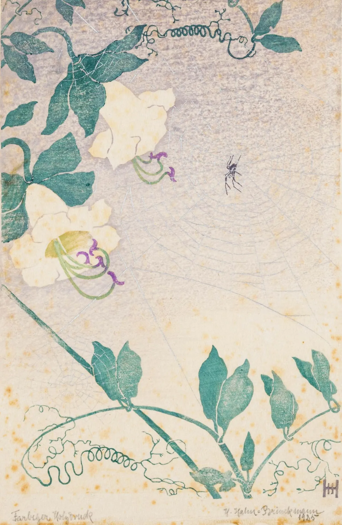 Hahn-Brinckmann, Henriette – 带蜘蛛的风铃草 I。日本楮纸彩色木刻。