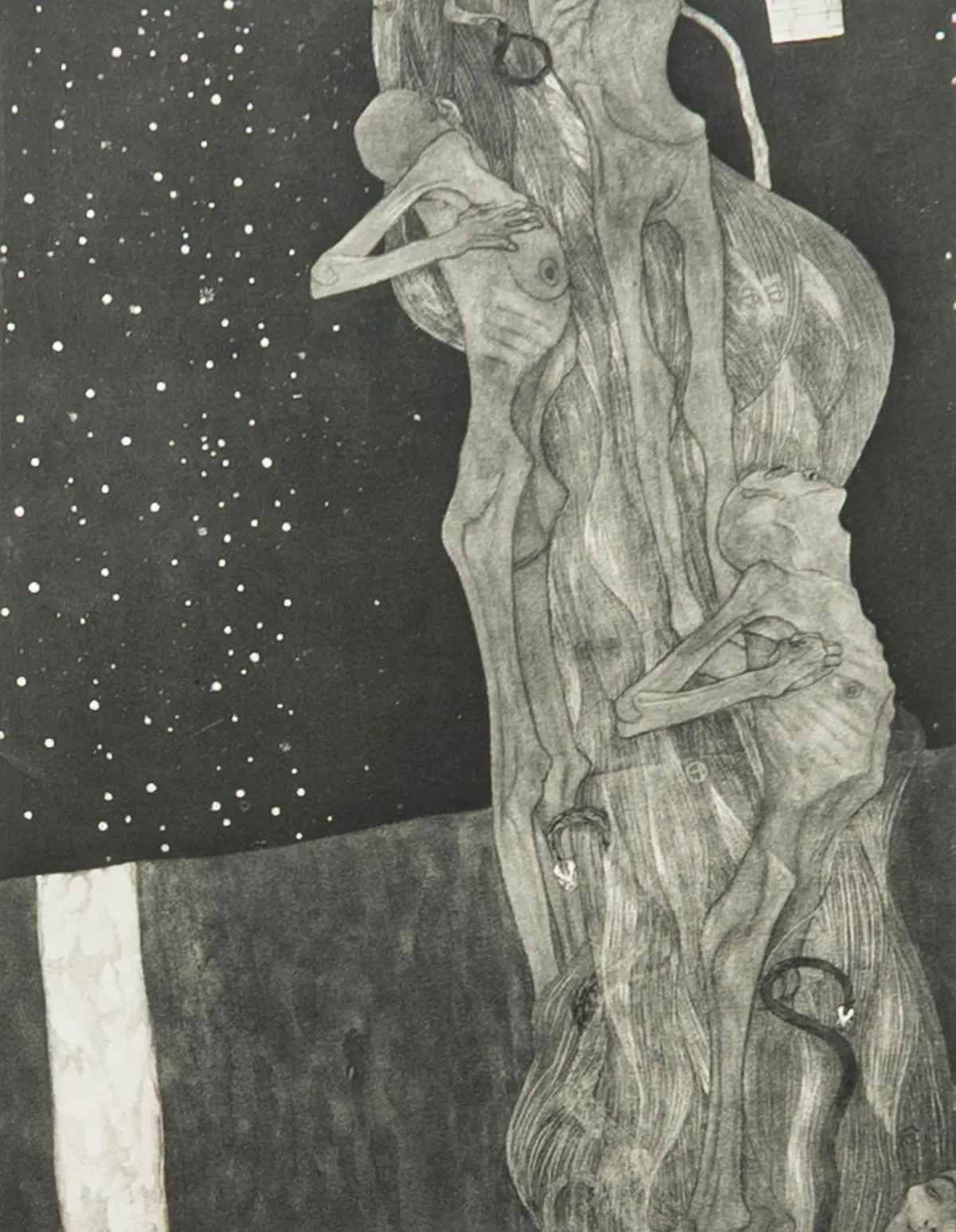 Klimt, Gustav – Collection de neuf planches en phototypie de "Das Werk von Gustav Klimt". Vienne/Leipzig, Hugo Heller & Cie, 1918.