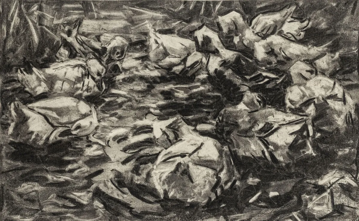 Koester, Alexander – 无题。（鸭子）。炭笔绘于犊皮纸，裱贴于纸上。背面有"画家 A. Koester Diessen a./A."遗产印章。