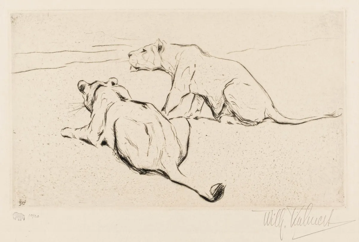 Kuhnert, Wilhelm – 潜伏的母狮。薄犊皮纸上蚀刻版画。铅笔签名和编号，盖章并在版上注明日期。版本：10/20。1921年。