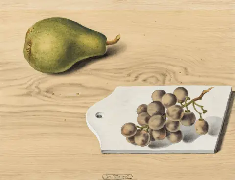 Mangold, Josef – Senza titolo. (Natura morta con pera e uva). Acquerello e biacca su carta spessa color champagne. Firmato a inchiostro nero.