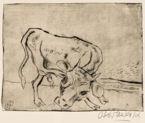 Pankok, Otto – Giovane toro sbuffante. Acquaforte a puntasecca su velina. Firmato in basso a destra. Monogrammato nella lastra. 1922.